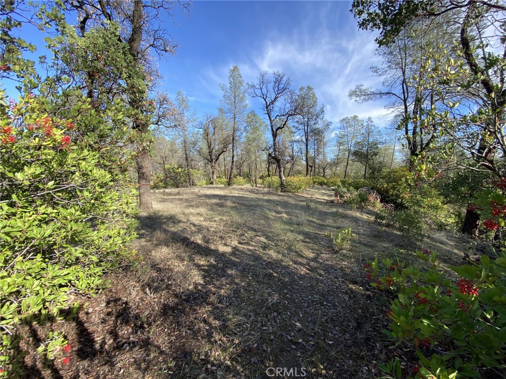 15785 Placer Court Corning, CA 96021 - Photo 2 of 24 a view of outdoor space with trees