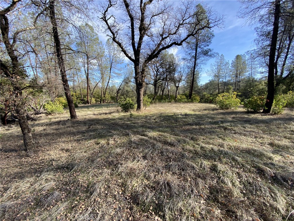 15785 Placer Court Corning, CA 96021 - Photo 5 of 24 a view of road with trees