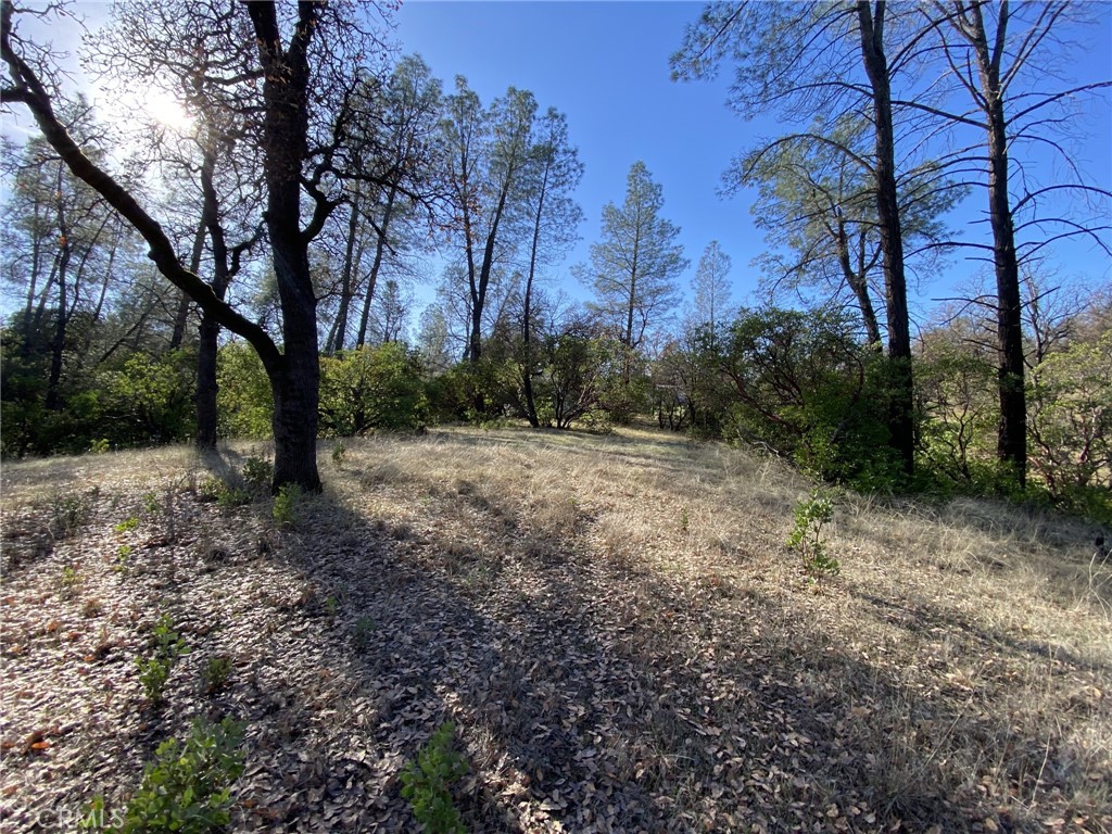 15785 Placer Court Corning, CA 96021 - Photo 9 of 24 a view of outdoor space with trees