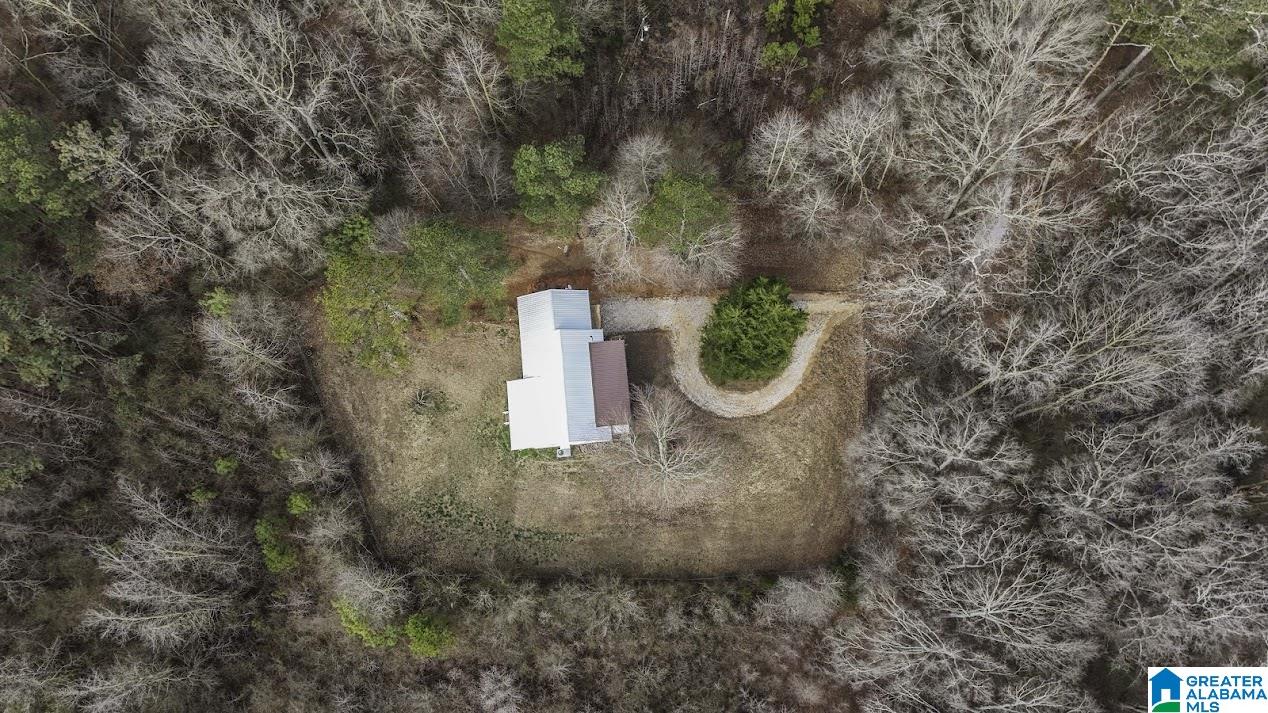333 County Road 684 Ranburne, AL 36273 - Photo 6 of 39 Gallery Image 6