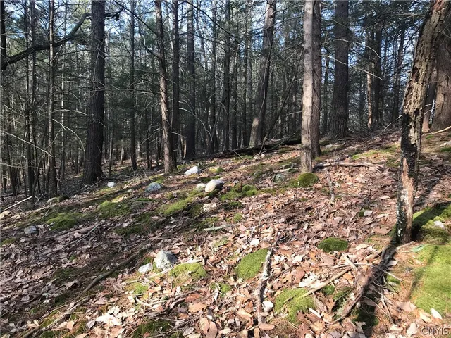 $1,680,000 | L38 Route 209 Wurtsboro Ny 12790, Wurtsboro, NY 12790