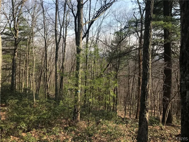 $1,680,000 | L38 Route 209 Wurtsboro Ny 12790, Wurtsboro, NY 12790