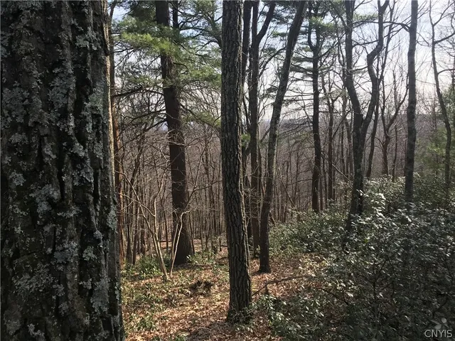 $1,680,000 | L38 Route 209 Wurtsboro Ny 12790, Wurtsboro, NY 12790