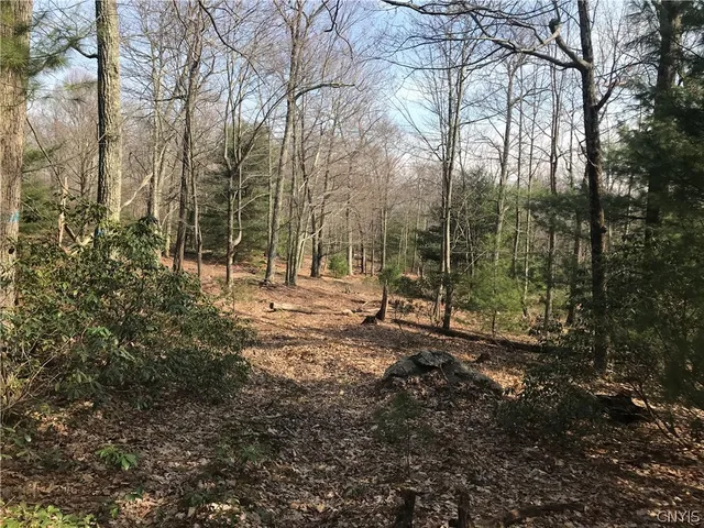 $1,680,000 | L38 Route 209 Wurtsboro Ny 12790, Wurtsboro, NY 12790