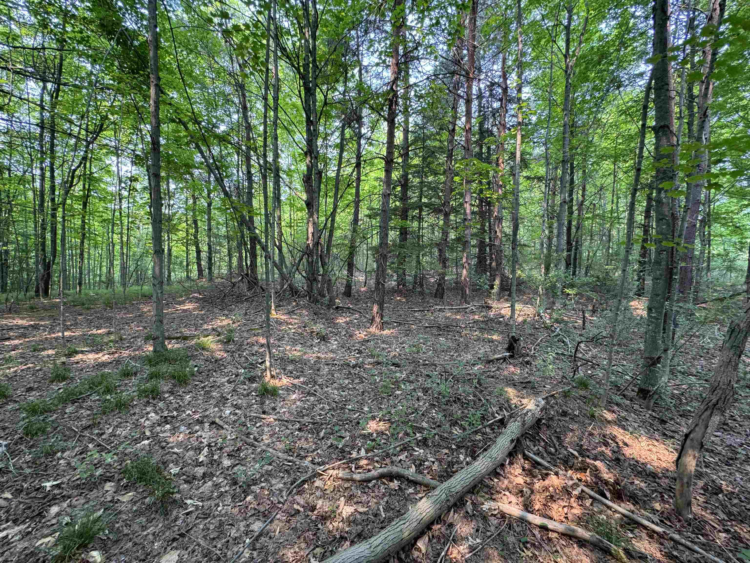 Lot #2 East Bellinger Road, Unit BELLINGER ESTATES Cedar, MI 49621 - Photo 9 of 19