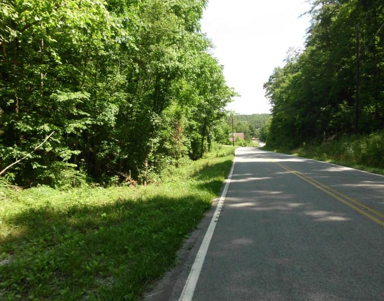 360 Drive Tellico Plains, TN 37385 - Photo 1 of 5 SANY0001