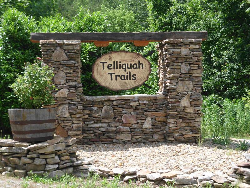 360 Drive Tellico Plains, TN 37385 - Photo 2 of 5 27