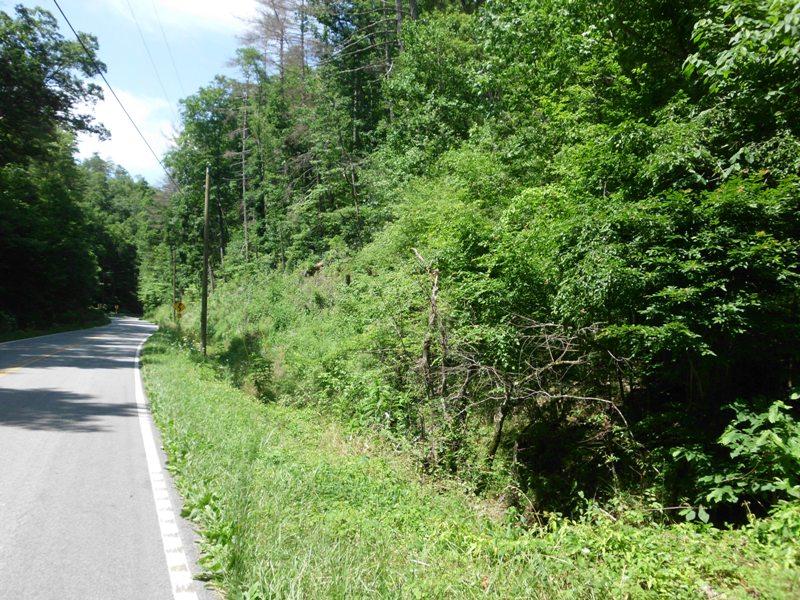 360 Drive Tellico Plains, TN 37385 - Photo 3 of 5 SANY0002