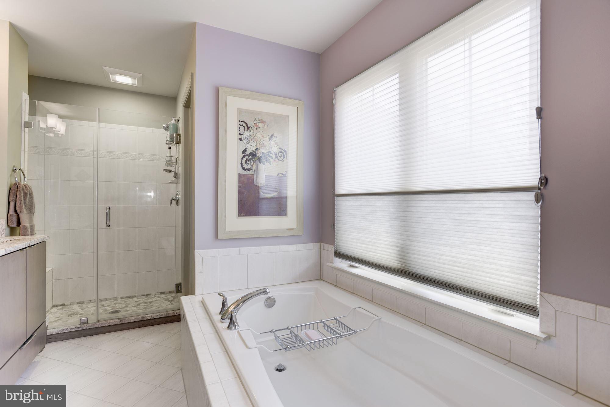 11492 Waterhaven Court Reston, VA 20190 - Photo 19 of 30 Soaking Tub & Separate Shower
