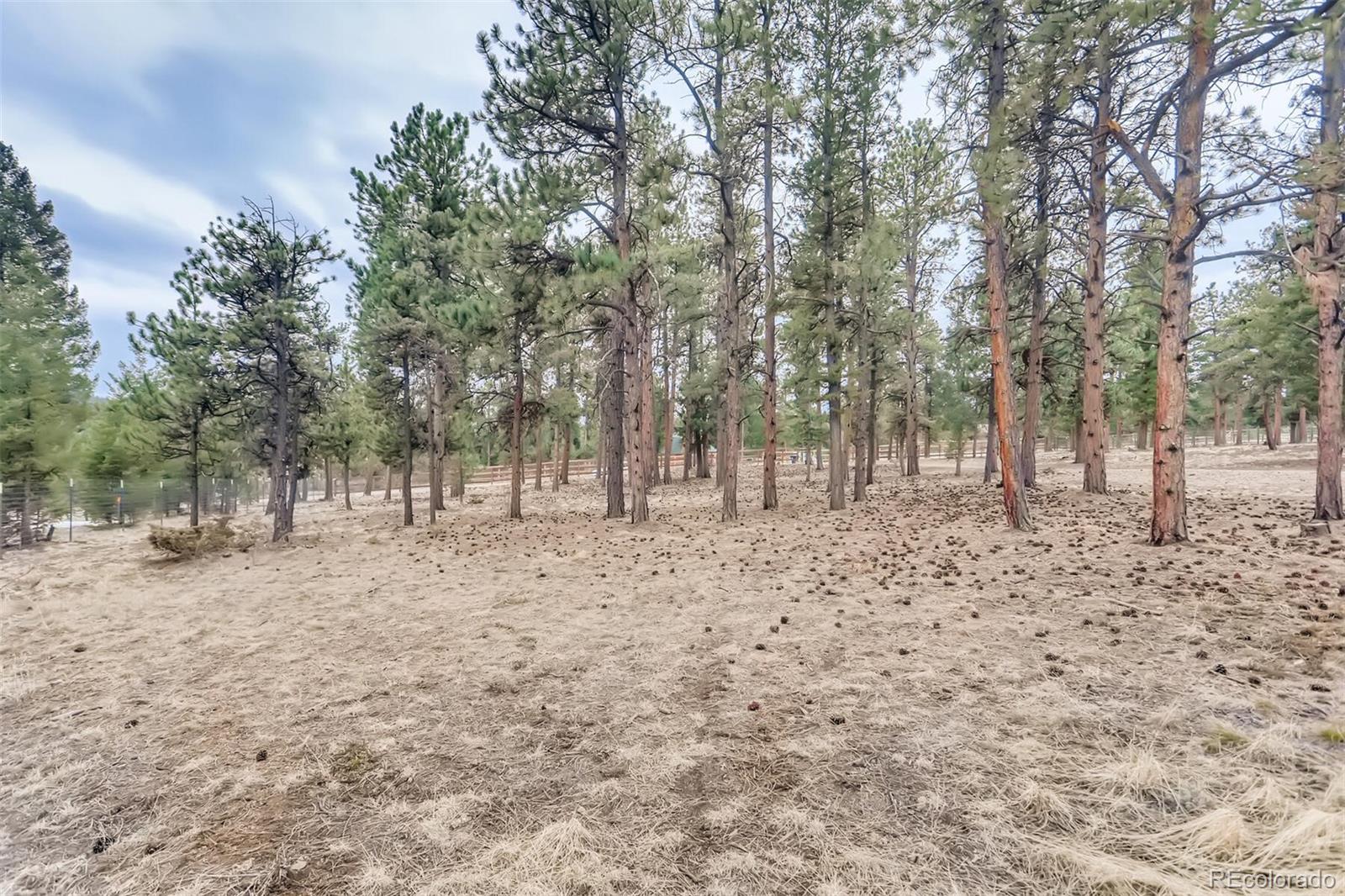 435 Dawson Road Pine, CO 80470 - Photo 26 of 30 Gallery Image 26