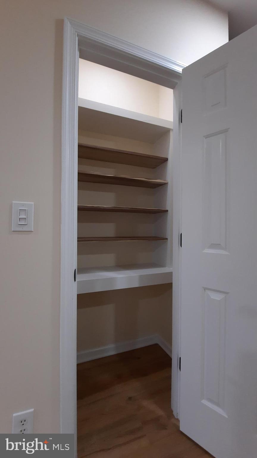 21051 Seigen Lane Richardsville, VA 22736 - Photo 12 of 42 a view of walk in closet with empty racks