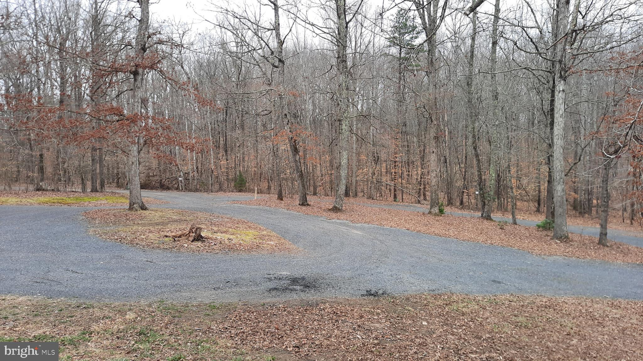 21051 Seigen Lane Richardsville, VA 22736 - Photo 25 of 42 a view of a yard with snow on the road