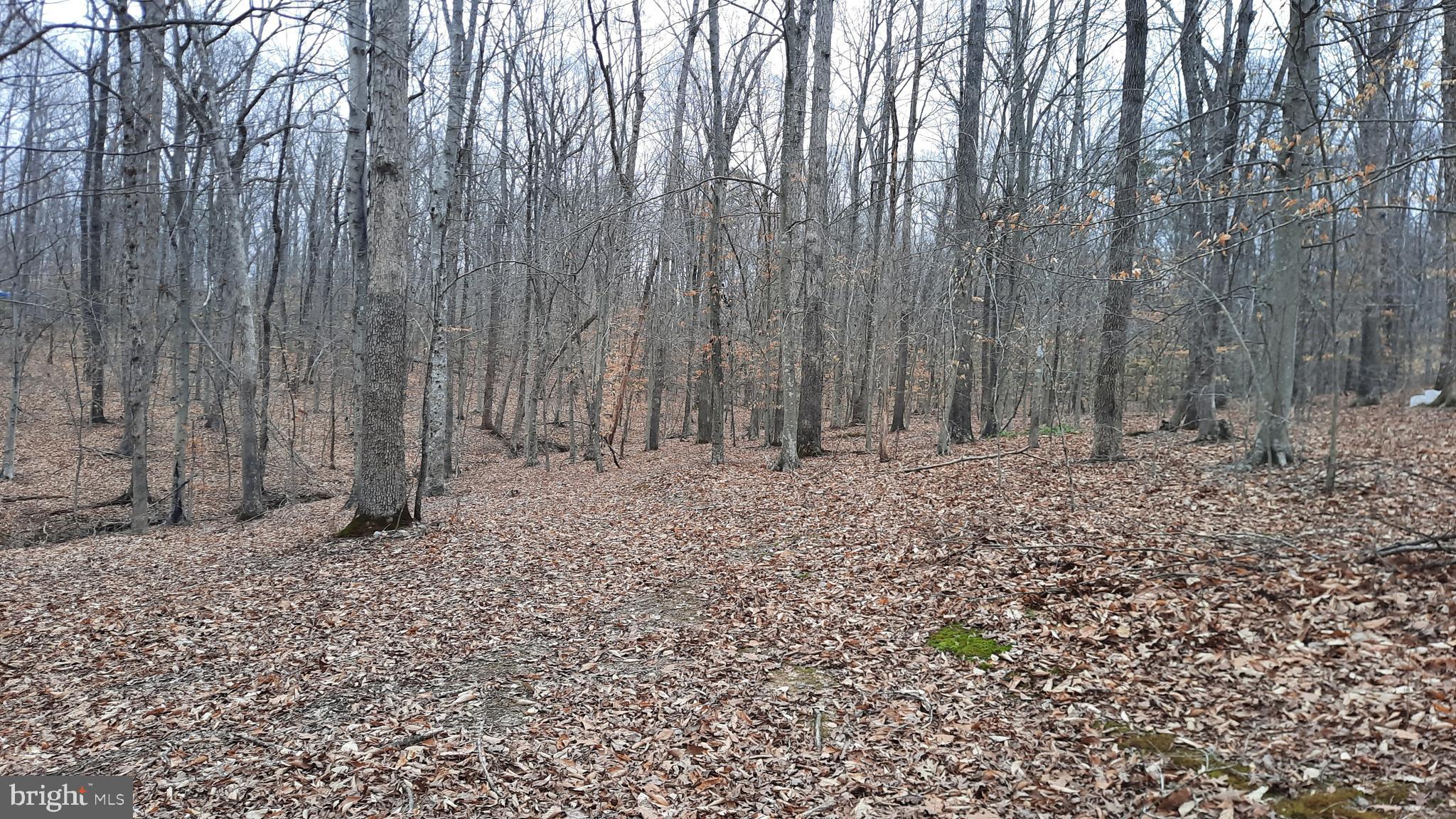 21051 Seigen Lane Richardsville, VA 22736 - Photo 38 of 42 a view of wooden fence