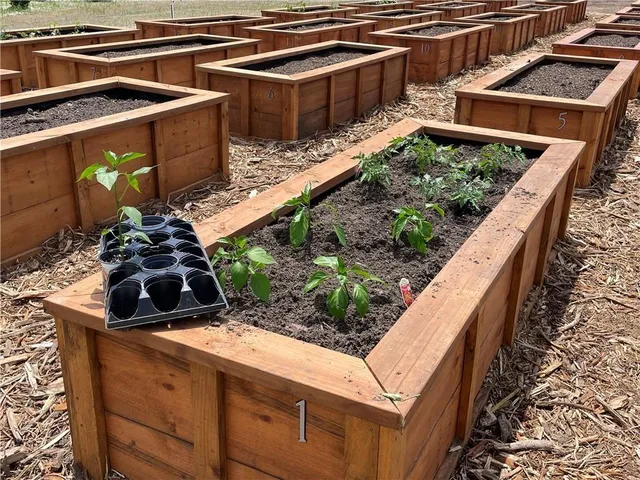 $1,789,500 | 12605 West 170th Street, Overland Park, KS 66221