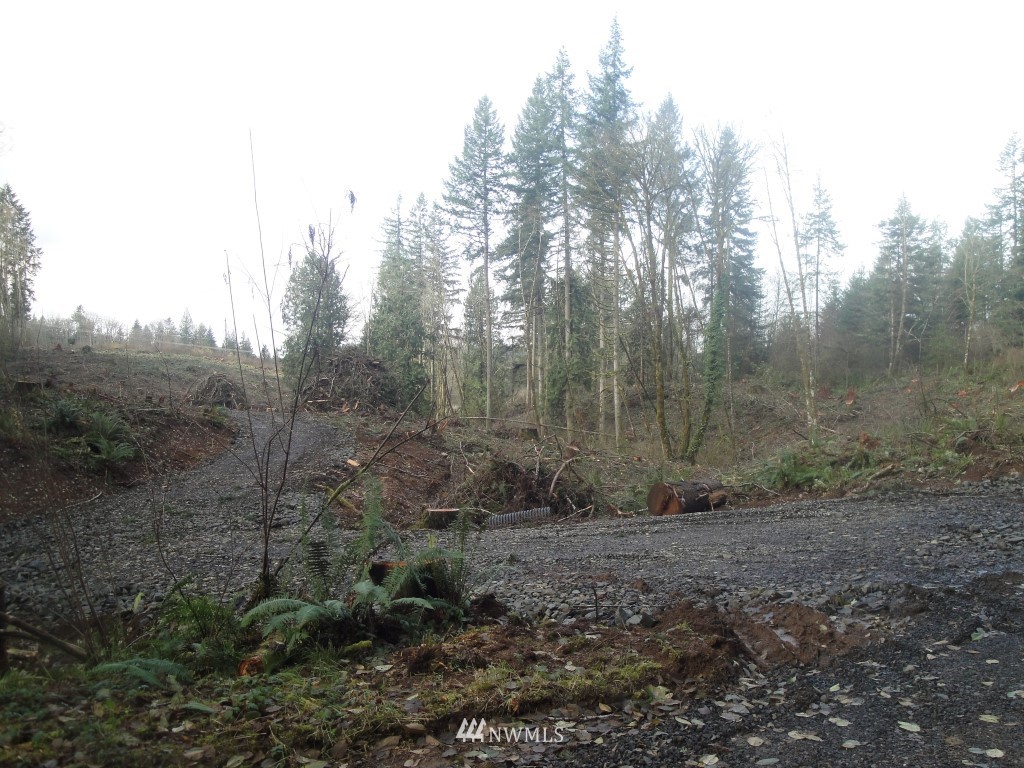 0 Cristler Road Chehalis, WA 98532 - Photo 2 of 19