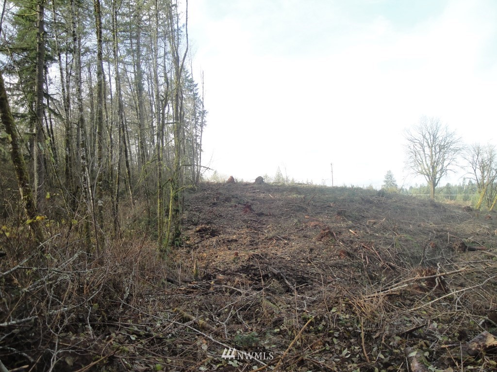 0 Cristler Road Chehalis, WA 98532 - Photo 12 of 19