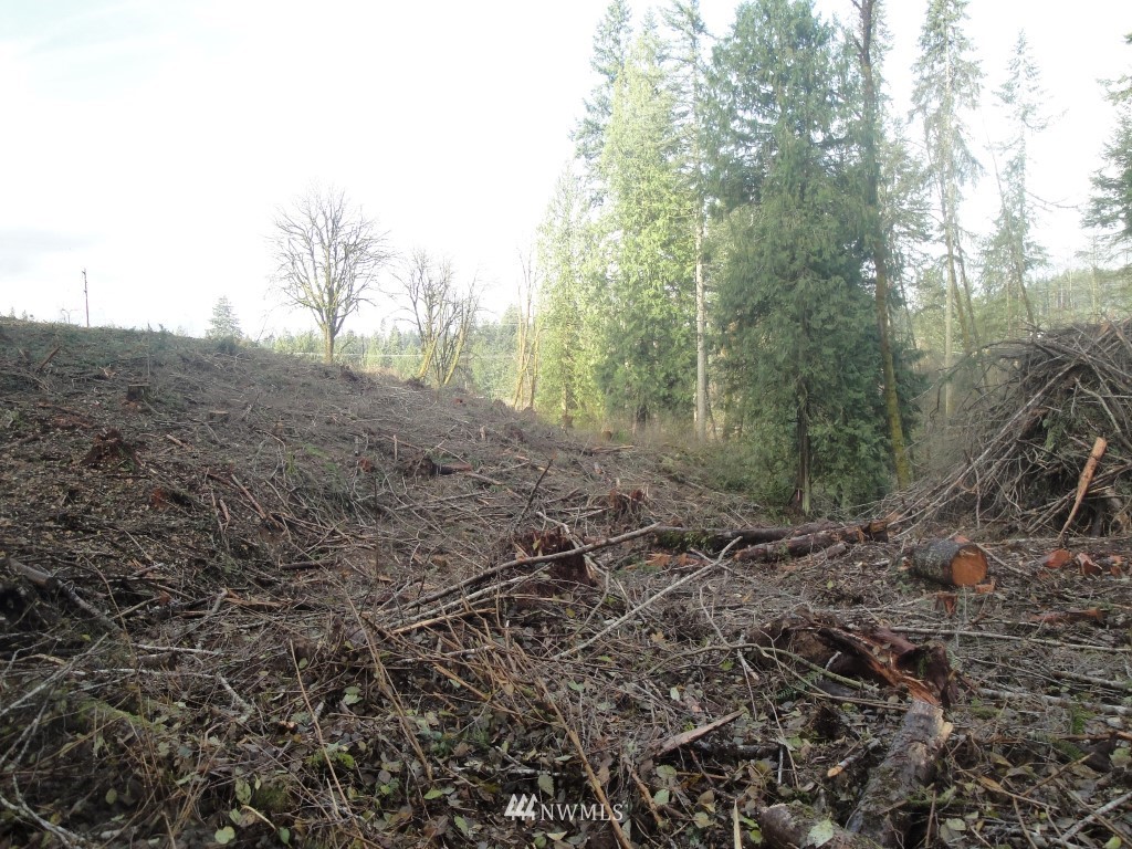 0 Cristler Road Chehalis, WA 98532 - Photo 13 of 19
