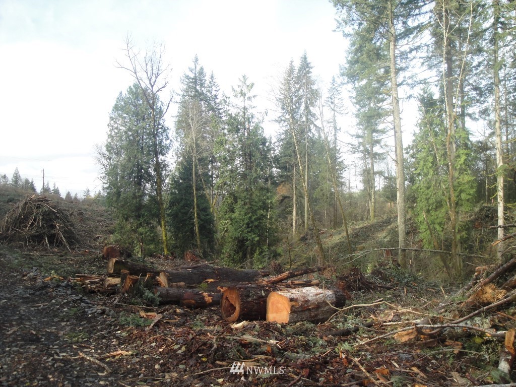 0 Cristler Road Chehalis, WA 98532 - Photo 4 of 19