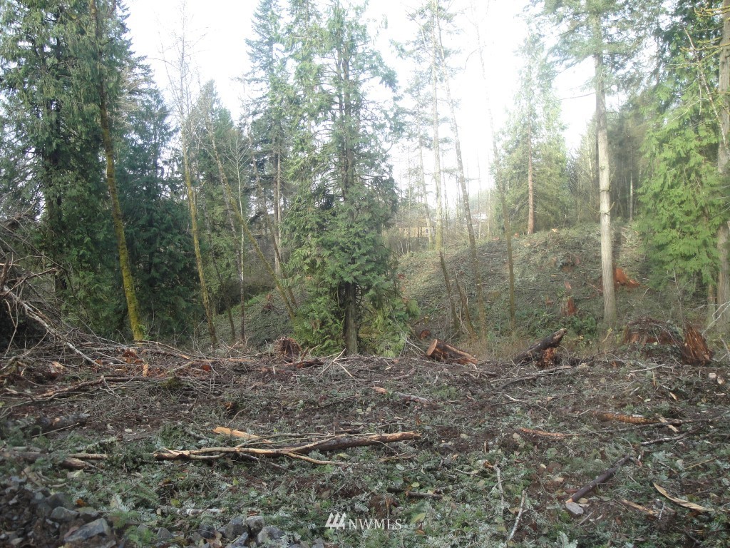 0 Cristler Road Chehalis, WA 98532 - Photo 8 of 19