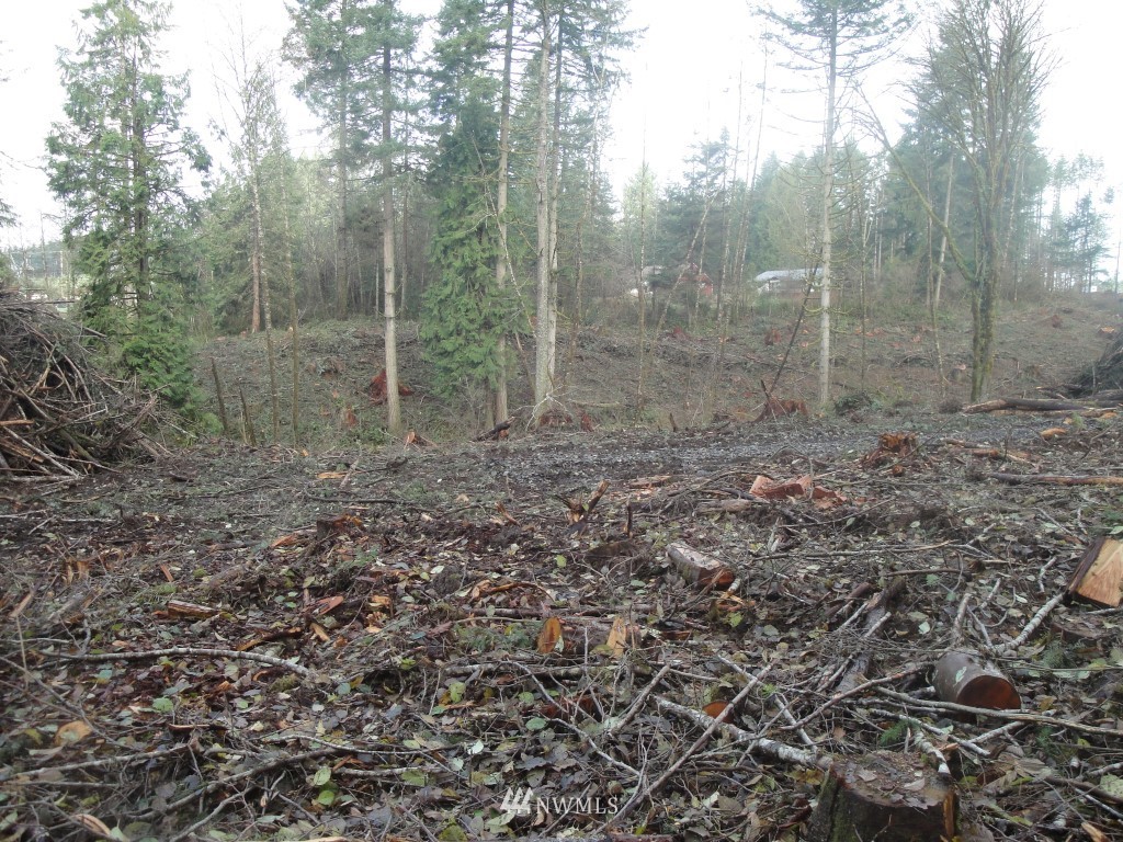 0 Cristler Road Chehalis, WA 98532 - Photo 10 of 19