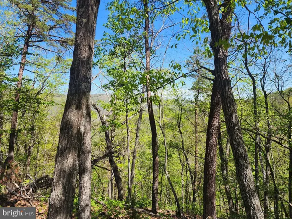 $40,000 | Lot #12 Potomac Valley, Milam, WV 26838