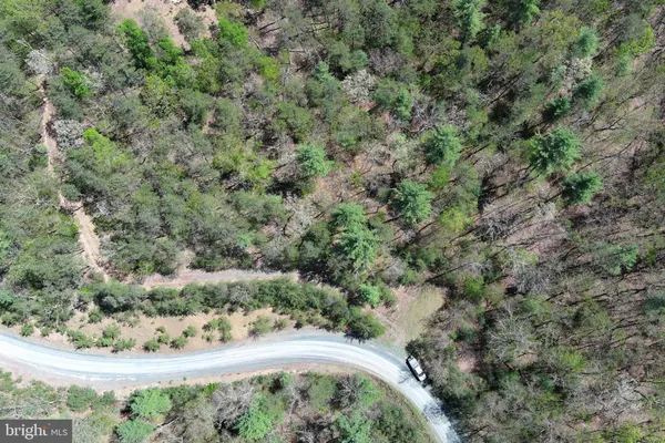 $40,000 | Lot #12 Potomac Valley, Milam, WV 26838