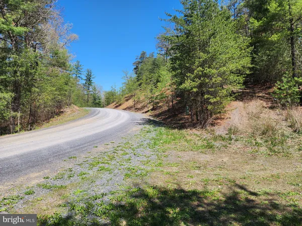 $40,000 | Lot #12 Potomac Valley, Milam, WV 26838