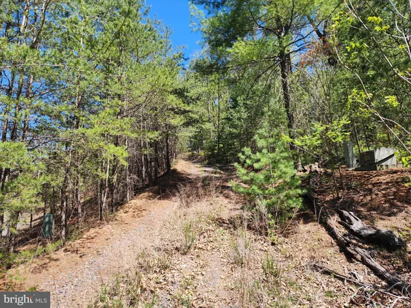 $40,000 | Lot #12 Potomac Valley, Milam, WV 26838