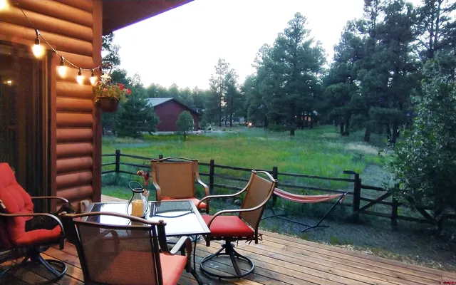 a view of backyard with trees