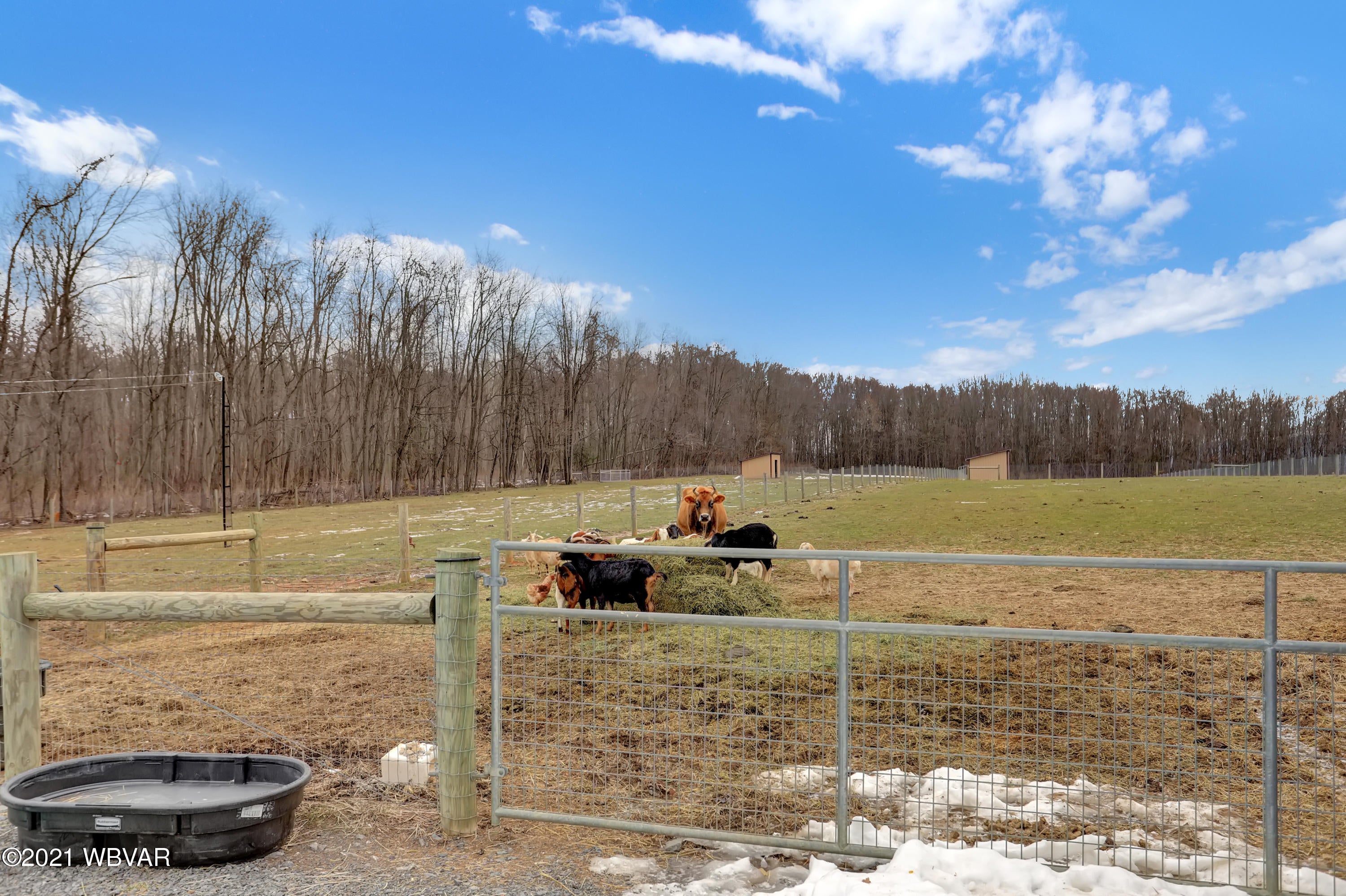 301 Dotterers Road Mill Hall, PA 17751 - Photo 13 of 66 Gallery Image 13