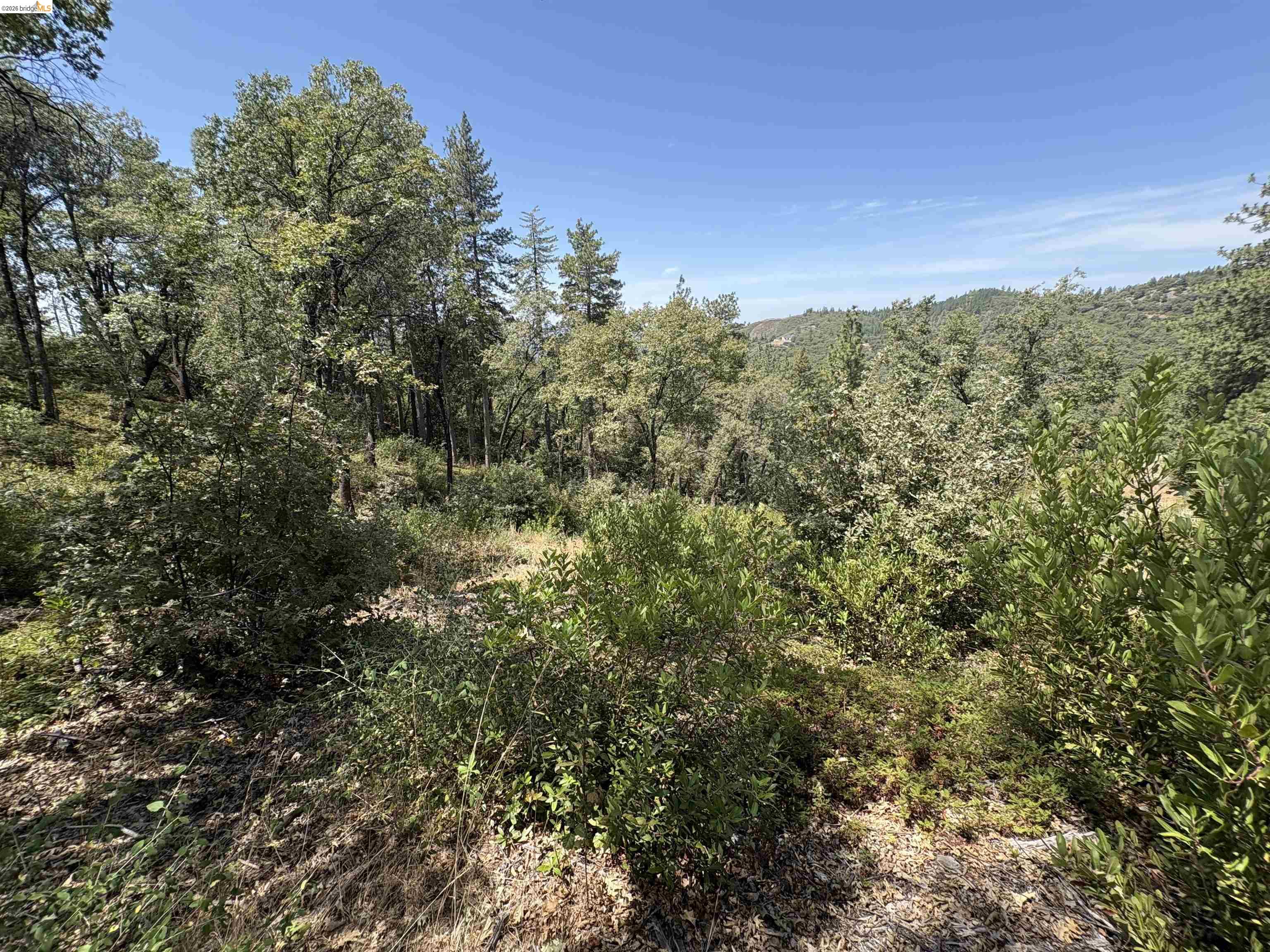1440 Utica Powerhouse Road Murphys, CA 95247 - Photo 33 of 58 Gallery Image 33