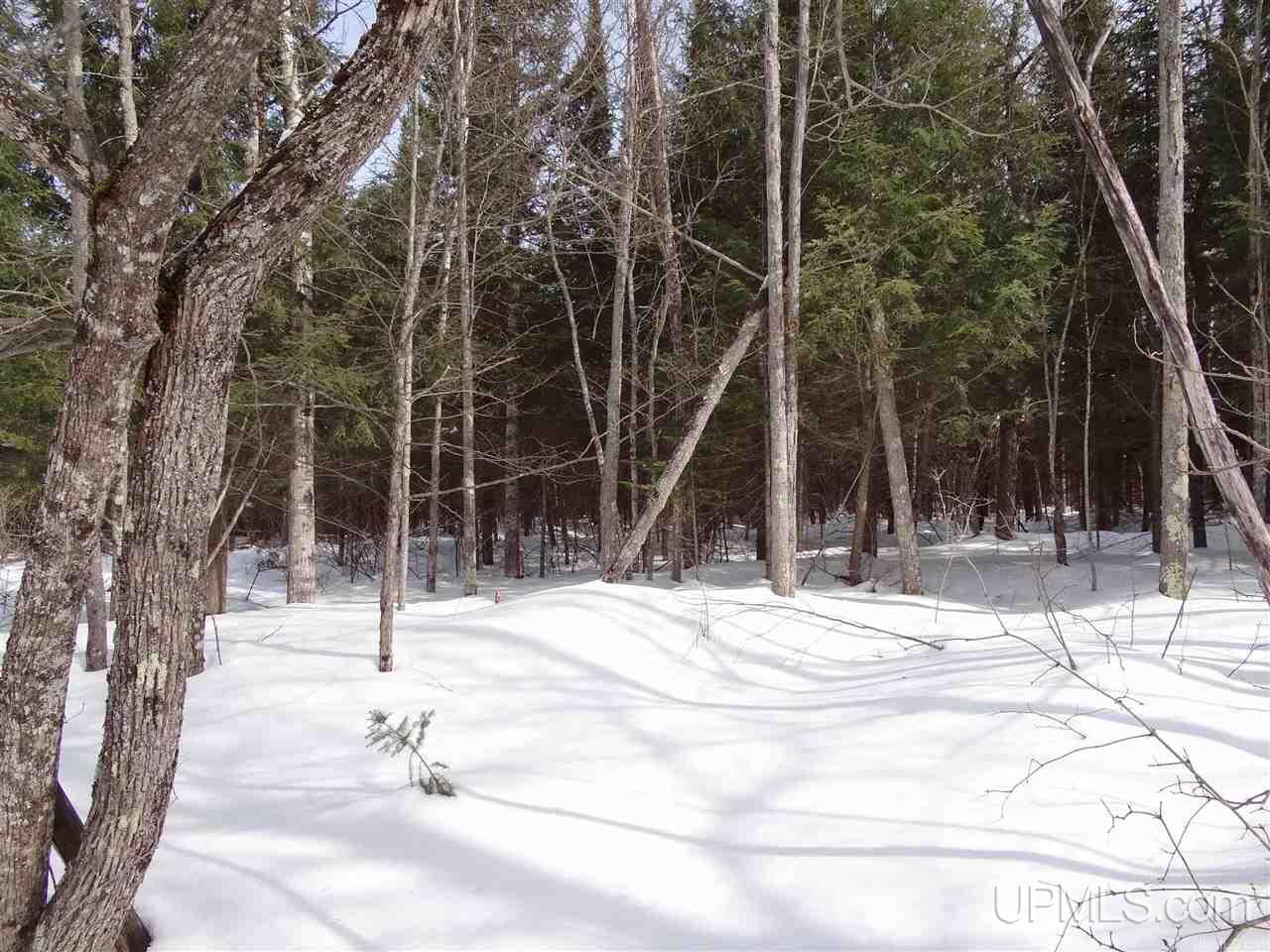 Tbd Dogpatch Road, Unit LOT A Lanse, MI 49946 - Photo 8 of 18