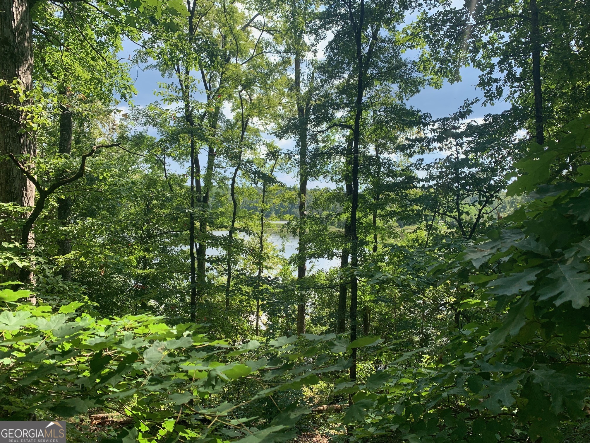 7.54-acres Peeksville Road Locust Grove, GA 30248 - Photo 1 of 1 a view of a lush green forest