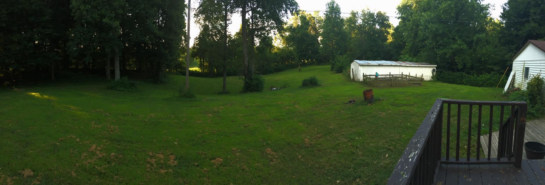 3525 Rossview Road Clarksville, TN 37043 - Photo 10 of 18 a view of a back yard