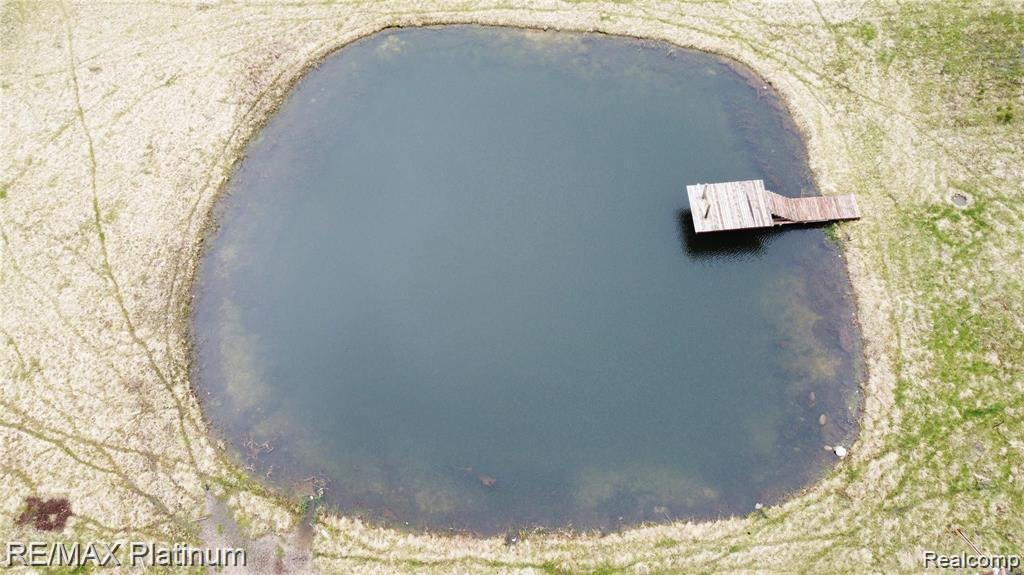 4757 East Haslett Road Perry, MI 48872 - Photo 17 of 20 Pond with Dock