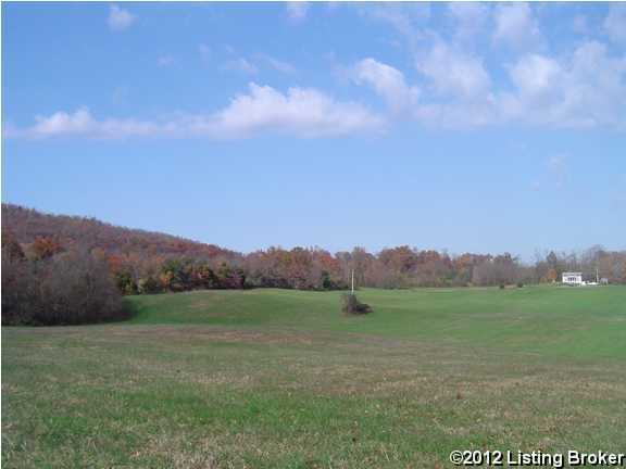 0 Swamp Hollow Road Canmer, KY 42722 - Photo 7 of 15 Additional Photo