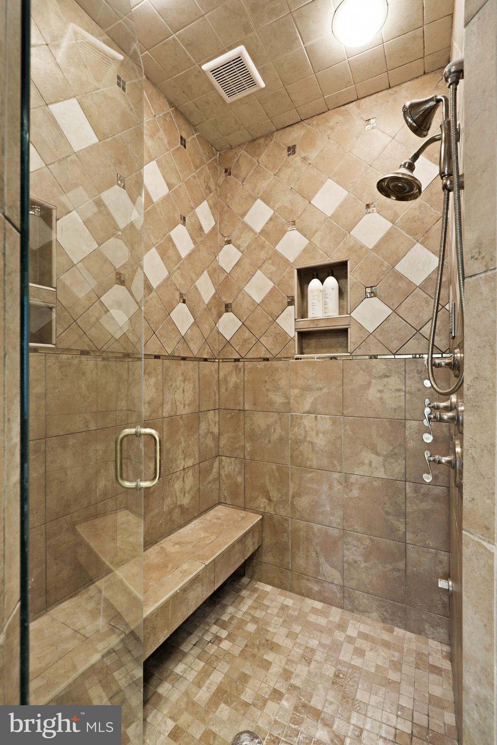 367 Millpond Drive Lititz, PA 17543 - Photo 24 of 65 Walk-in shower