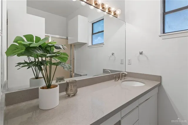 a bathroom with a sink a mirror and a potted plant