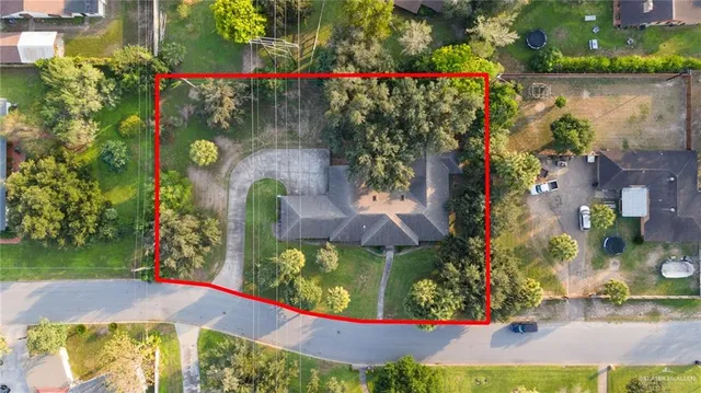 an outdoor space with potted plants