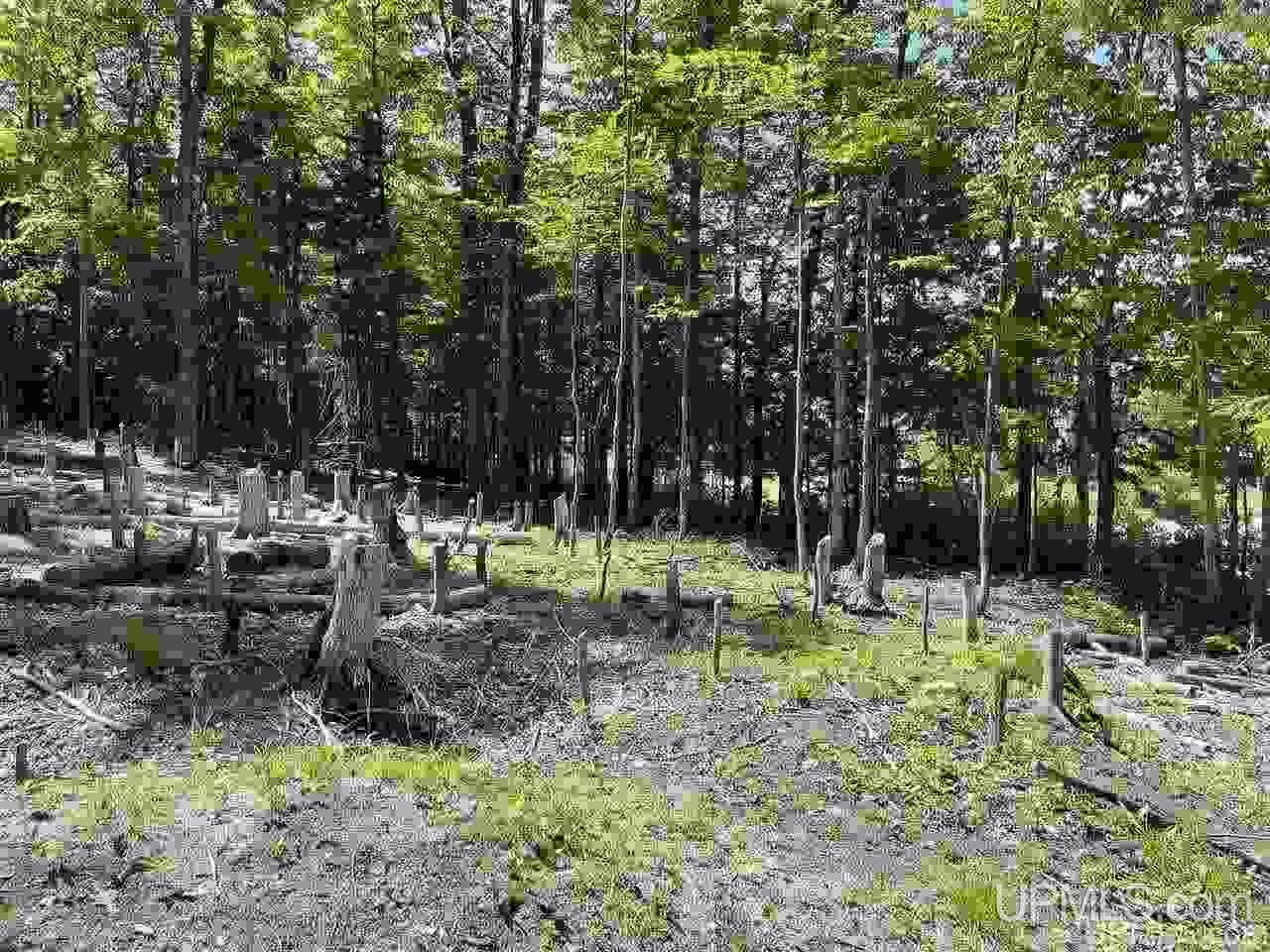 Tbd Tbd Northwoods Road Marquette, MI 49855 - Photo 4 of 31