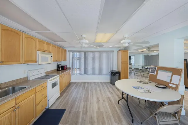 a view of backyard with large trees