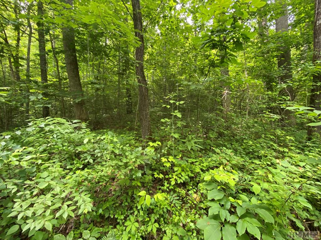 1-3 Moody Bridge Road Cullowhee, NC 28723 - Photo 12 of 16 Gallery Image 12
