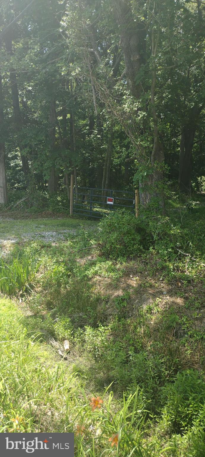 0 Fairmount Road Westover, MD 21871 - Photo 14 of 23 Land begins at cattle gate