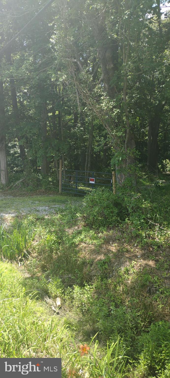 0 Fairmount Road Westover, MD 21871 - Photo 16 of 23 The land starts where the cattle gate is located