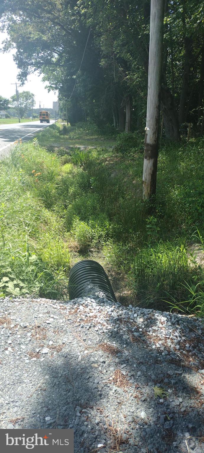 0 Fairmount Road Westover, MD 21871 - Photo 17 of 23 Road view from lot
