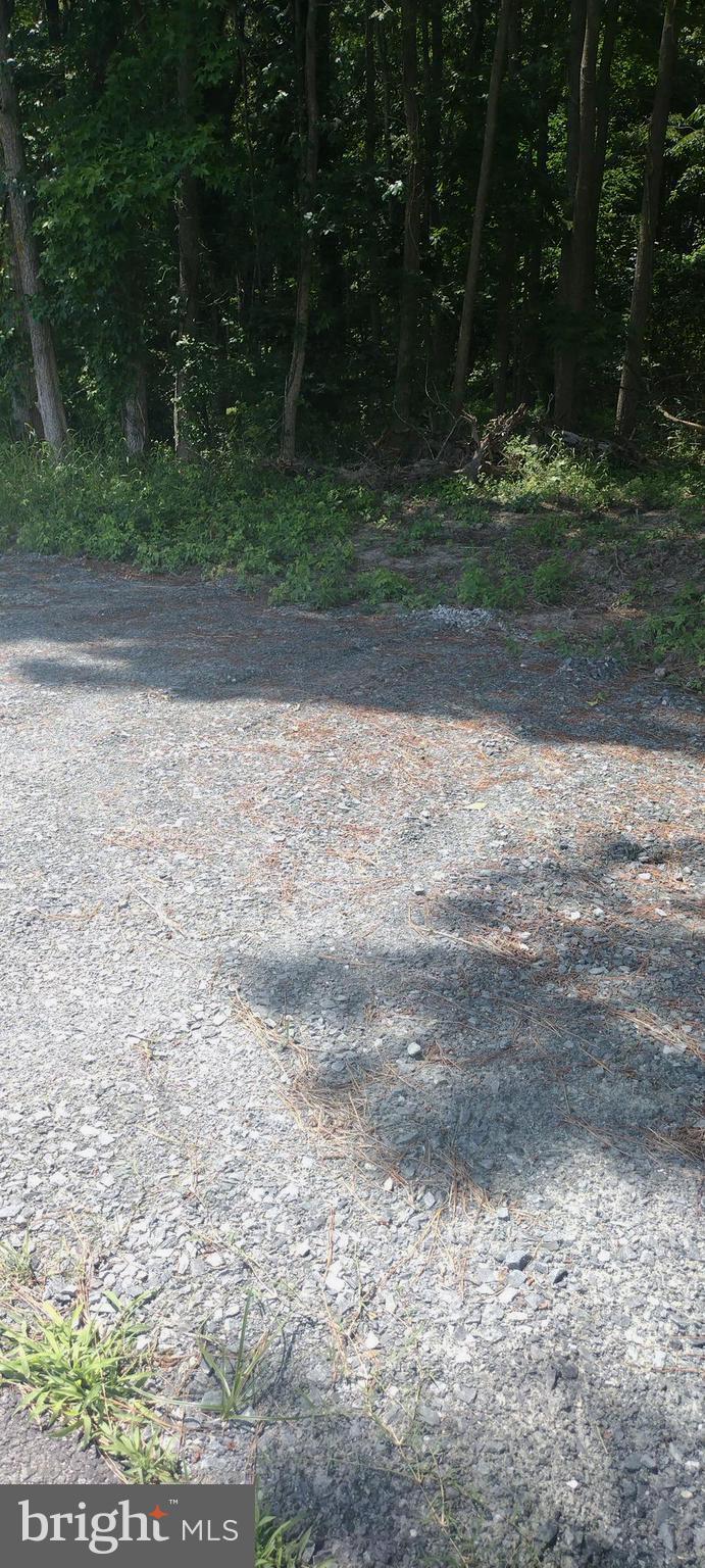 0 Fairmount Road Westover, MD 21871 - Photo 18 of 23 Entrance of Land