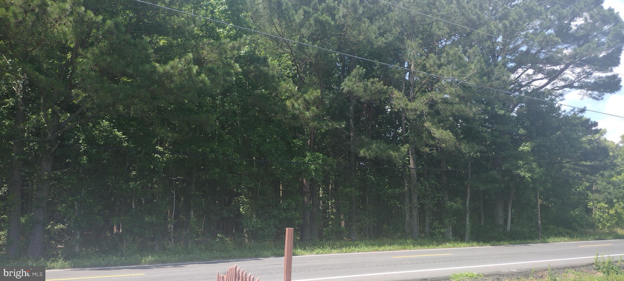 0 Fairmount Road Westover, MD 21871 - Photo 22 of 23 This is the land front