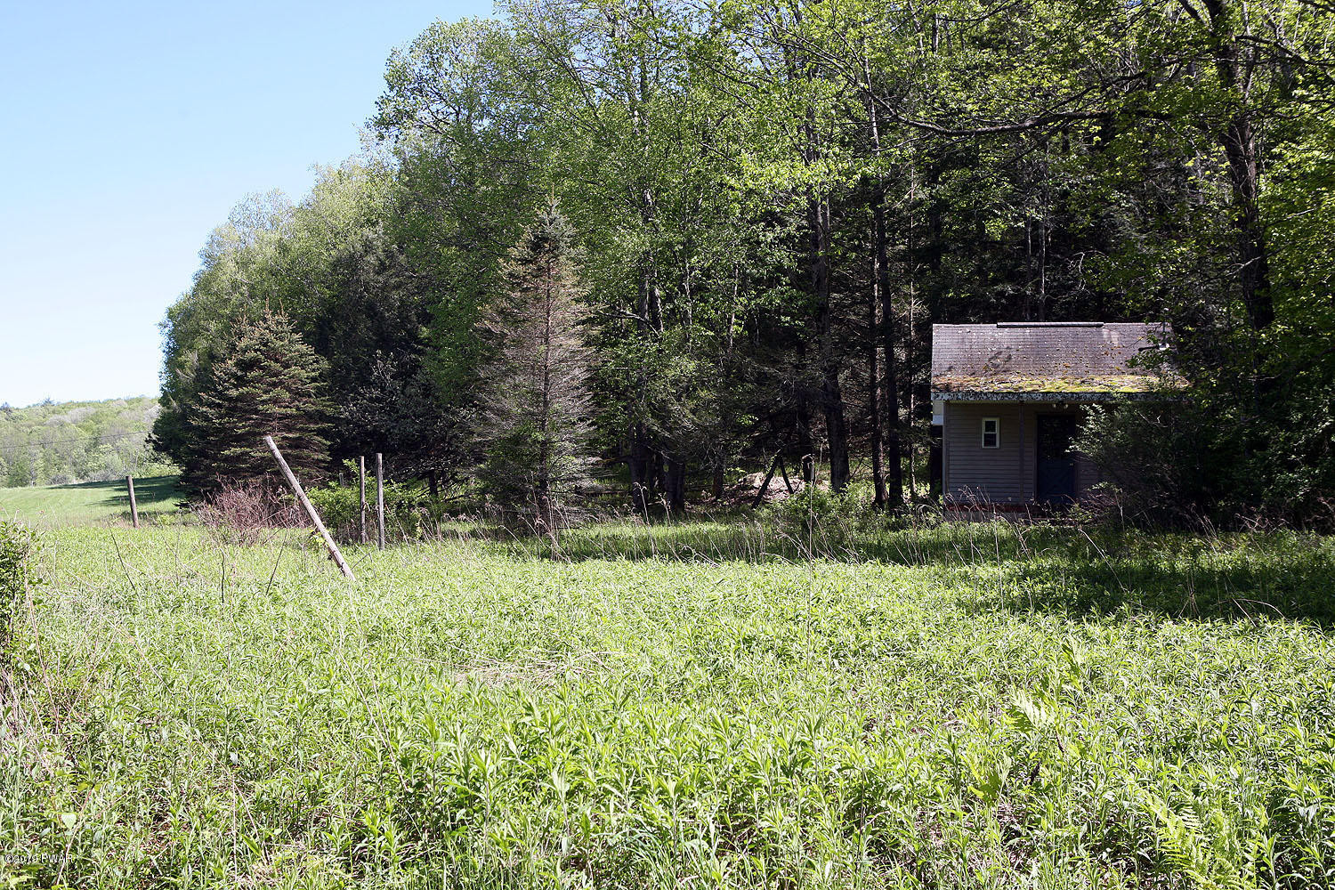 66 Boyce Road Damascus, PA 18415 - Photo 4 of 13