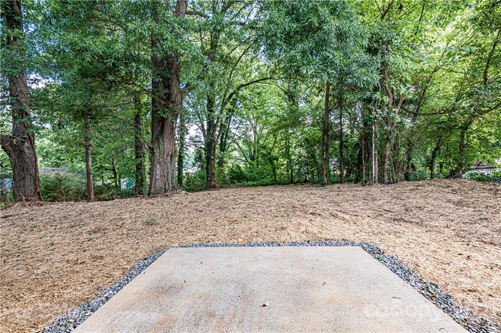 722 West Craighead Road Charlotte, NC 28206 - Photo 26 of 29 Gallery Image 26