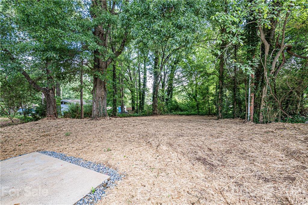 722 West Craighead Road Charlotte, NC 28206 - Photo 27 of 29 Gallery Image 27